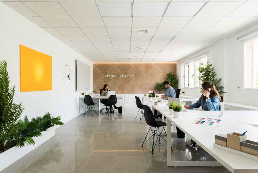 Stefanie & Gala Shoes Offices